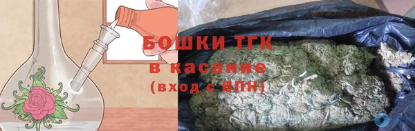твердый Вяземский