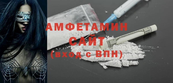 твердый Вяземский