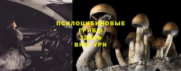 соль курить ск Тавда
