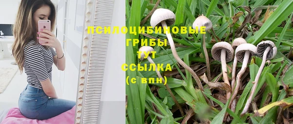 MESCALINE Володарск