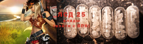 твердый Вяземский