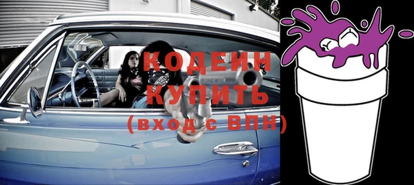 твердый Вяземский