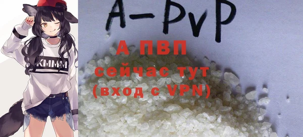 хмурый Вязьма