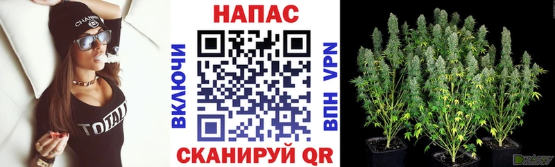 это официальный сайт  Цоци-Юрт  МАРИХУАНА марихуана 